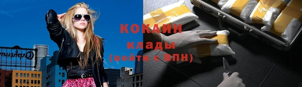 Альфа ПВП Ладушкин