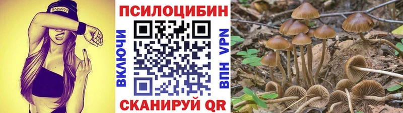 наркотики  Лысьва  МЕГА ССЫЛКА  Псилоцибиновые грибы Psilocybe 